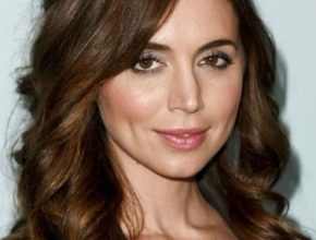 Eliza Dushku plastic surgery (7)